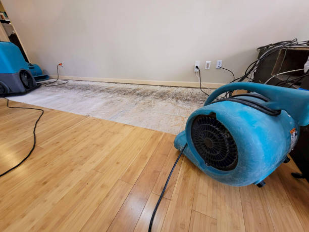 Professional Water Extraction technician working in Chattanooga, TN